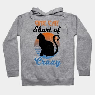 One Cat Short of Crazy- Retro distressed style Hoodie